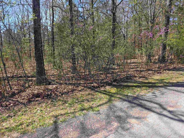 L-22 B-10 Nameoki Drive, Cherokee Village, AR 72529