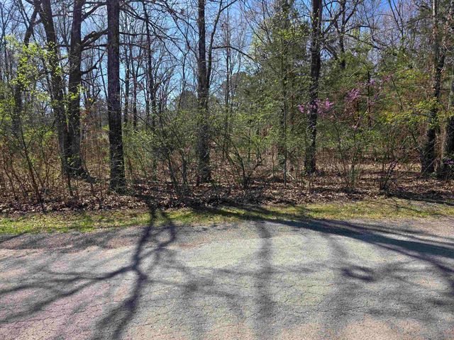 L-22 B-10 Nameoki Drive, Cherokee Village, AR 72529