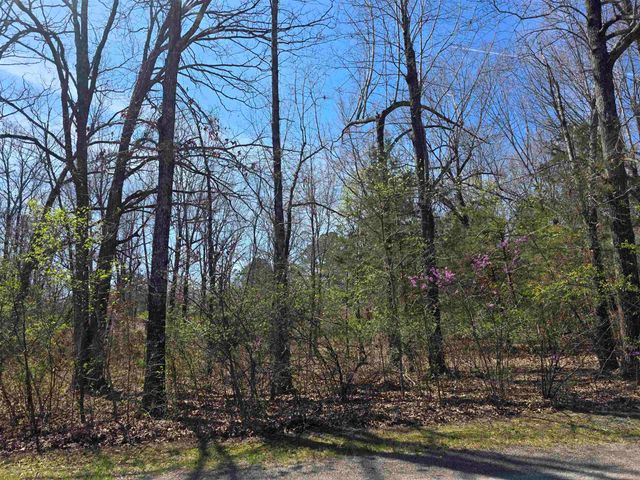L-22 B-10 Nameoki Drive, Cherokee Village, AR 72529