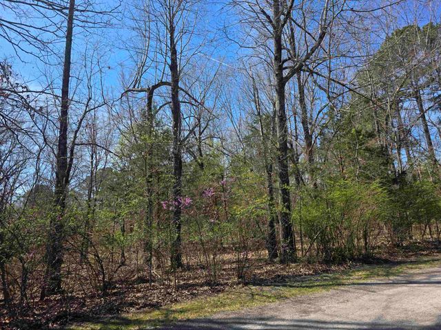 L-22 B-10 Nameoki Drive, Cherokee Village, AR 72529