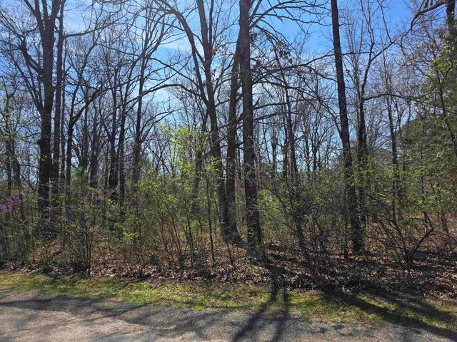 L-22 B-10 Nameoki Drive, Cherokee Village, AR 72529