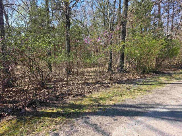 L-22 B-10 Nameoki Drive, Cherokee Village, AR 72529