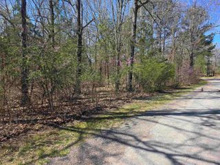 L-22 B-10 Nameoki Drive, Cherokee Village, AR 72529