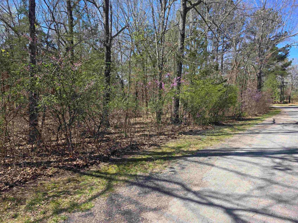 L-22 B-10 Nameoki Drive, Cherokee Village, AR 72529