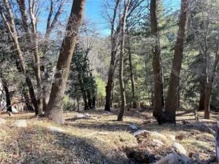 0 Thunderbird, Lake Arrowhead, CA 92352