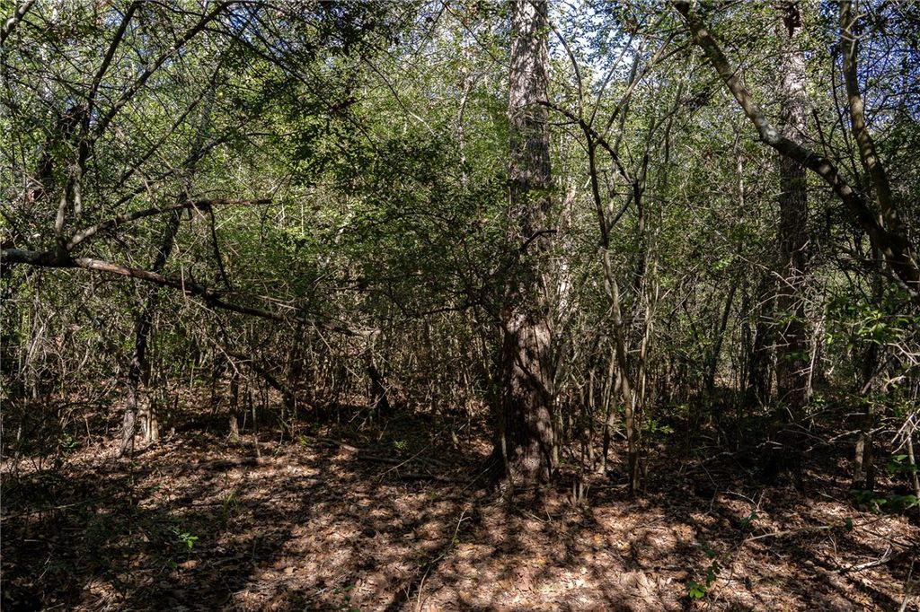 0000 Isaiah Estates, Bryan, TX 77808 — photo 5