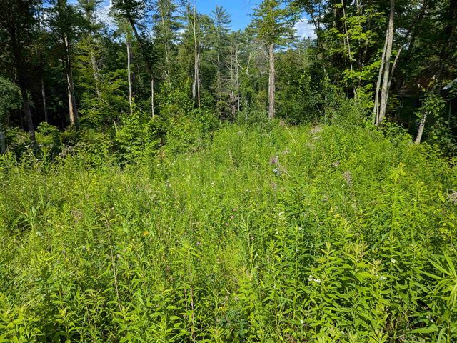 Autumn Road, Hillsborough, NH 03244