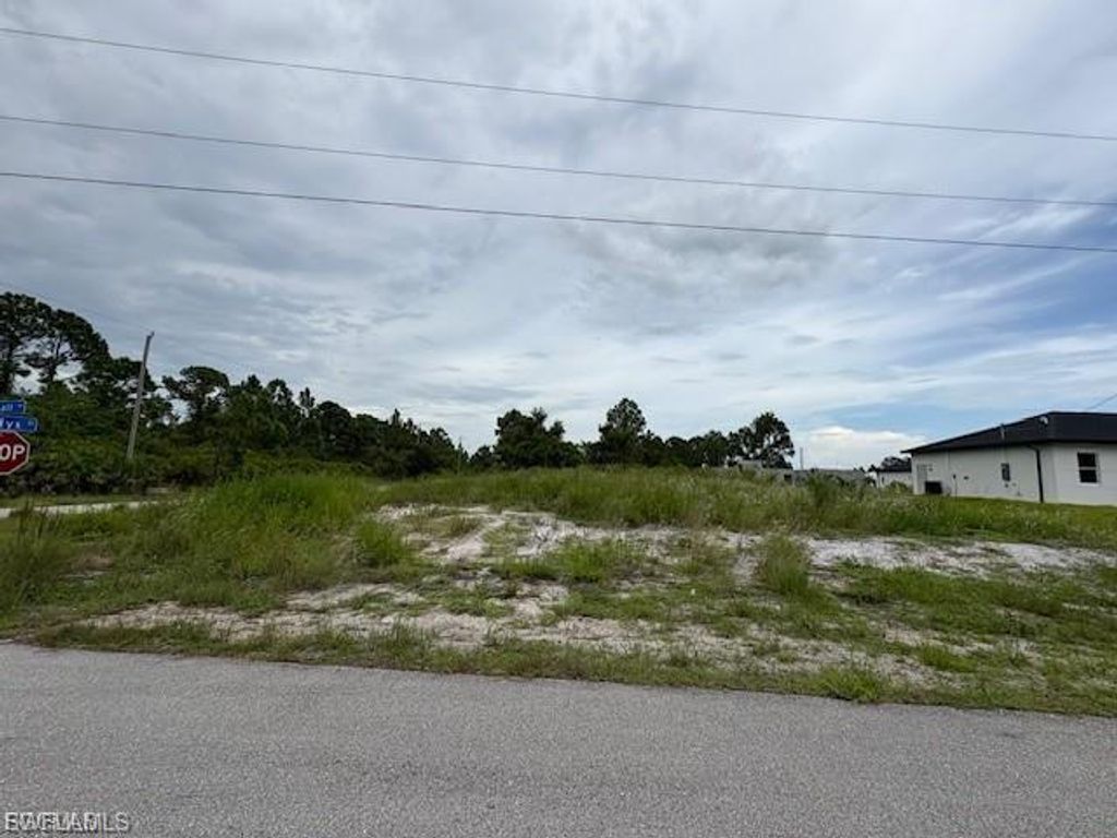 705 Randall AVE E, LEHIGH ACRES, FL 33974 — photo 2