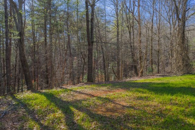 36.8 AC Pleasant Oak Trail, Ellijay, GA 30540