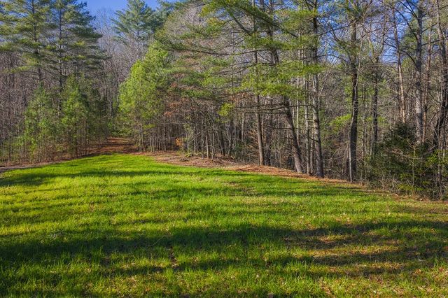 36.8 AC Pleasant Oak Trail, Ellijay, GA 30540