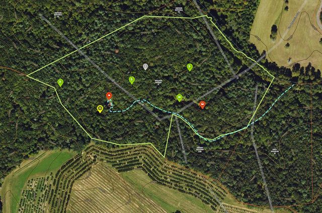 36.8 AC Pleasant Oak Trail, Ellijay, GA 30540