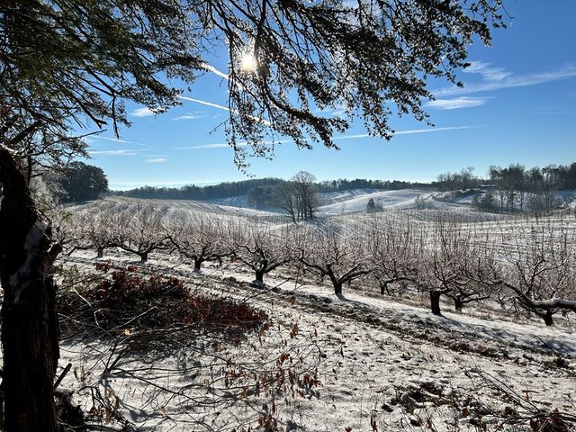 36.8 AC Pleasant Oak Trail, Ellijay, GA 30540