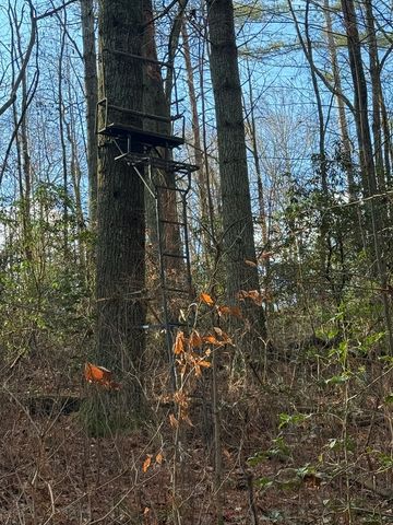 36.8 AC Pleasant Oak Trail, Ellijay, GA 30540