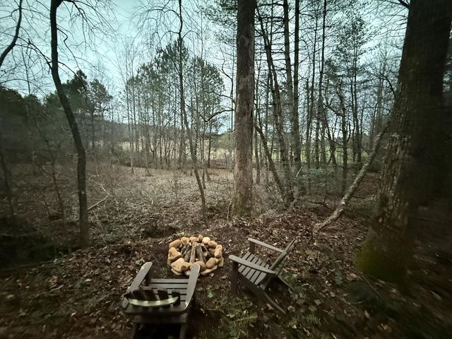 36.8 AC Pleasant Oak Trail, Ellijay, GA 30540