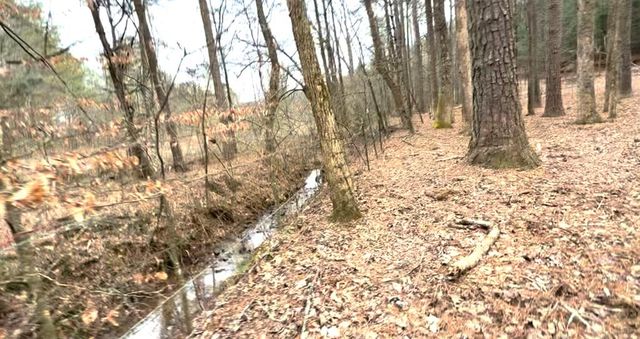 36.8 AC Pleasant Oak Trail, Ellijay, GA 30540