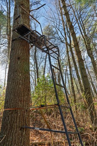 36.8 AC Pleasant Oak Trail, Ellijay, GA 30540