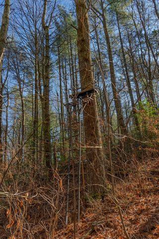 36.8 AC Pleasant Oak Trail, Ellijay, GA 30540