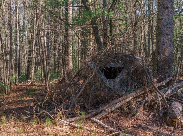 36.8 AC Pleasant Oak Trail, Ellijay, GA 30540