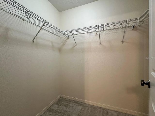 7232 SEEDPOD LOOP, Wesley Chapel, FL 33545