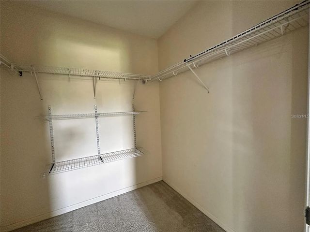7232 SEEDPOD LOOP, Wesley Chapel, FL 33545