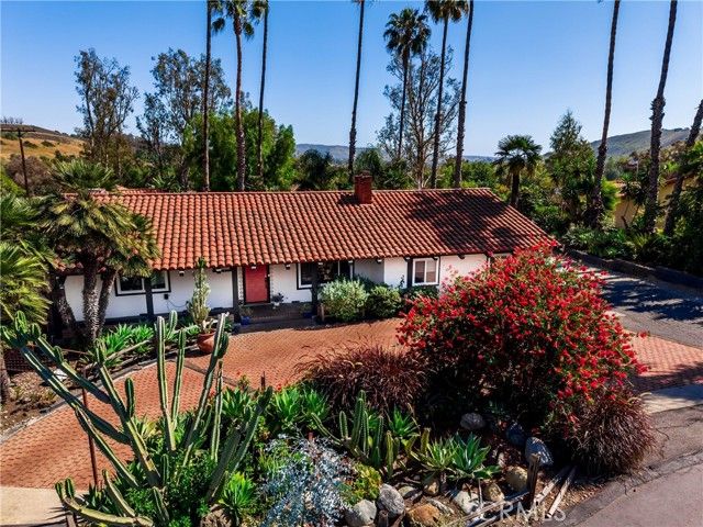 29612 Spotted Bull, San Juan Capistrano, CA 92675