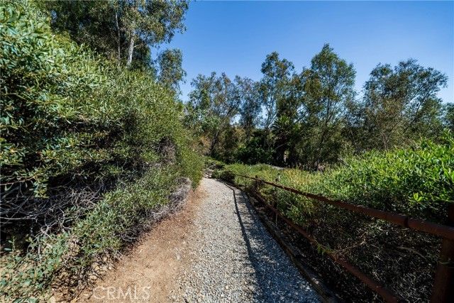 29612 Spotted Bull, San Juan Capistrano, CA 92675