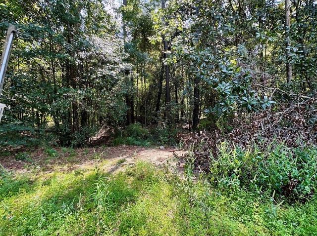 238 County Road 263, Headland, AL 36345