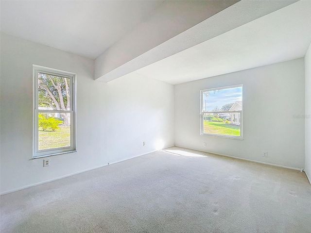 3280 SKENE TERRACE, Palm Harbor, FL 34684