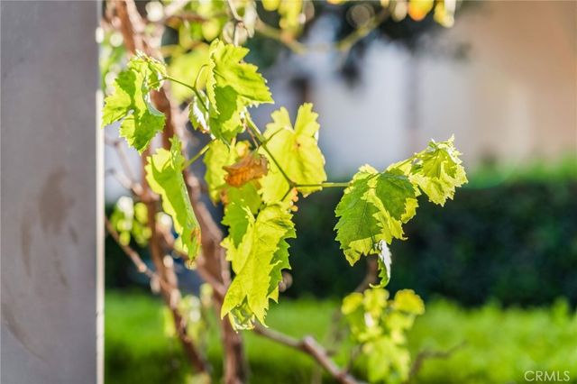 8779 Celebration St, Chino, CA 91708