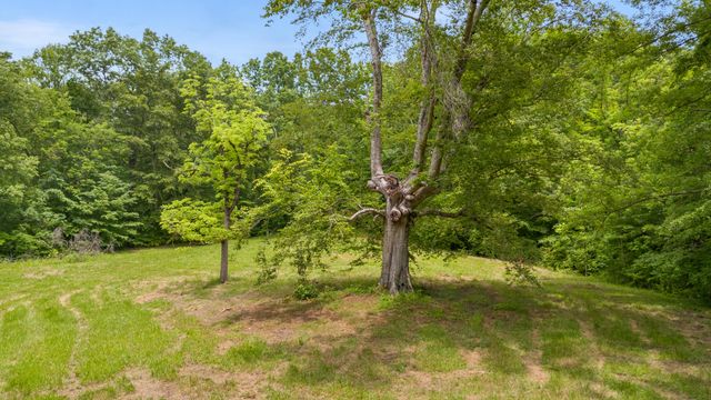 275 Horns River Road Road, Irvine, KY 40336