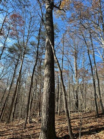 275 Horns River Road Road, Irvine, KY 40336