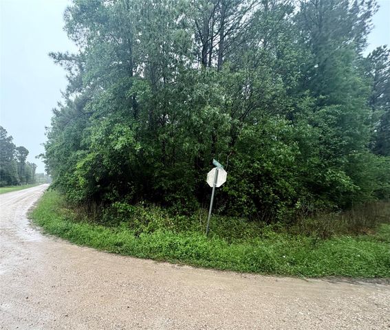 0 Meadowlark Lane, Livingston, TX 77351