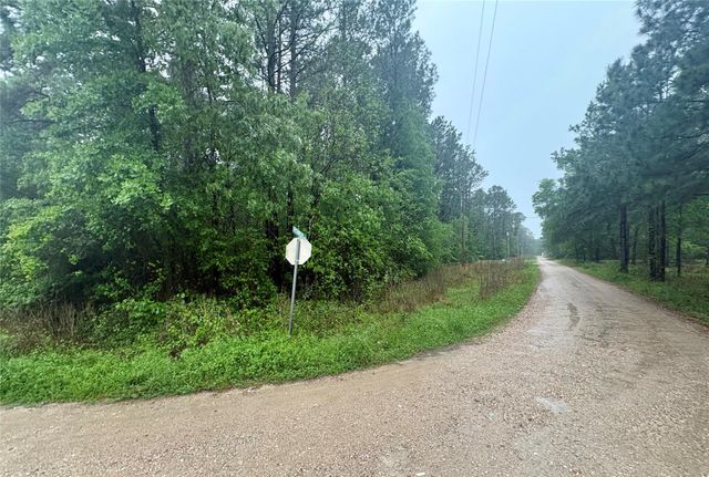 0 Meadowlark Lane, Livingston, TX 77351