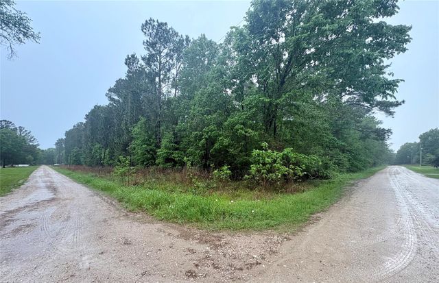 0 Meadowlark Lane, Livingston, TX 77351