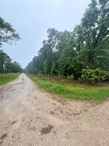 0 Meadowlark Lane, Livingston, TX 77351