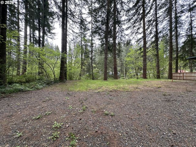 30703 Ne OLSON Rd, Yacolt, WA 98675