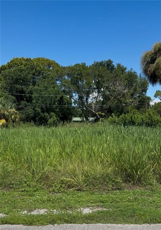 1243 Old Bridge RD, NORTH FORT MYERS, FL 33917 — photo 5