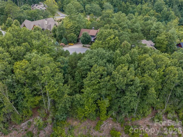 15 Panther Gap Road 116, Black Mountain, NC 28711