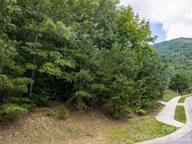 15 Panther Gap Road 116, Black Mountain, NC 28711