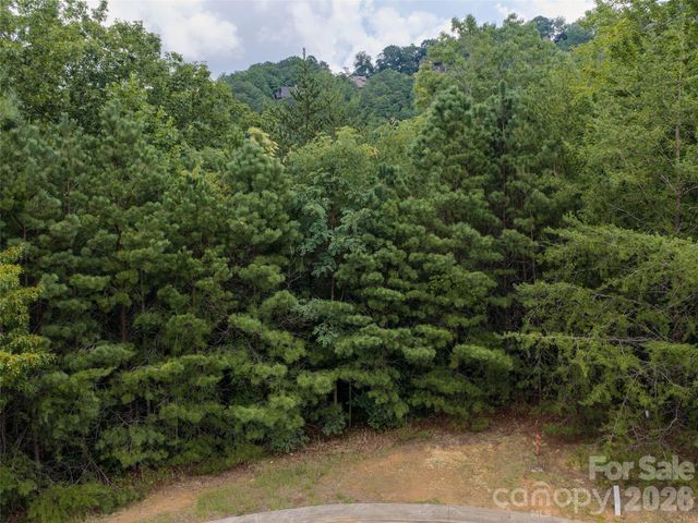 15 Panther Gap Road 116, Black Mountain, NC 28711