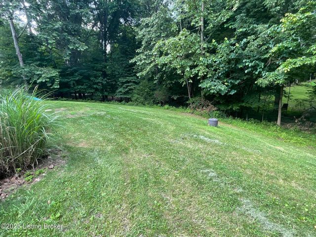 40 Sunflower Ln, Brandenburg, KY 40108