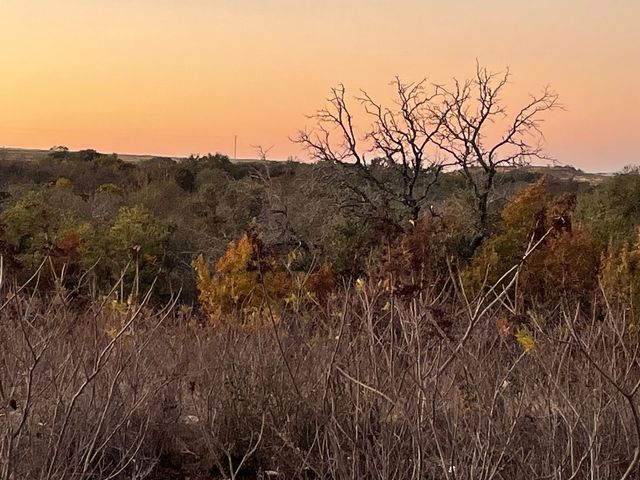 TBD Tract 28 Indian Springs, Indian Gap, TX 76531