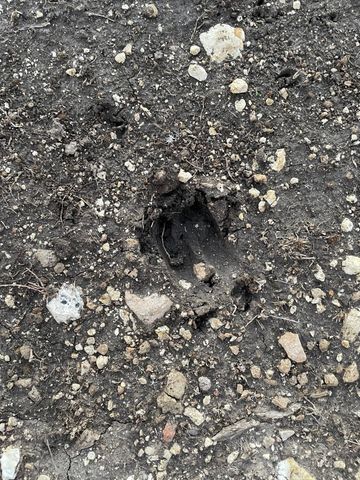 TBD Tract 28 Indian Springs, Indian Gap, TX 76531