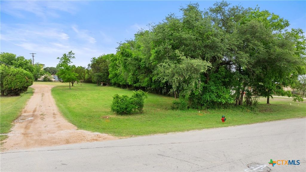 Image 3 of property listing at 306 W Pecan Drive, Johnson City, TX 78636