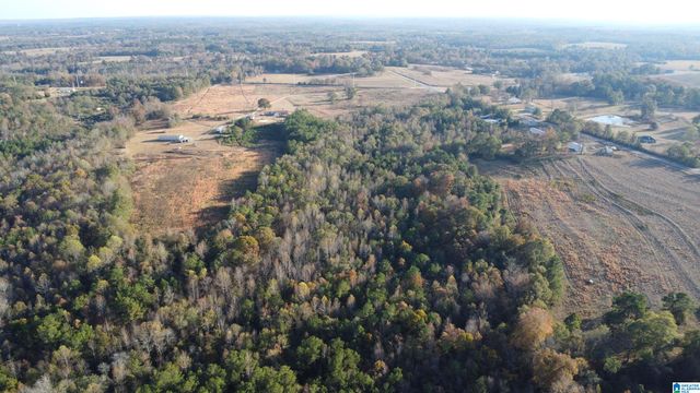 6951 COUNTY ROAD 24, Clanton, AL 35045