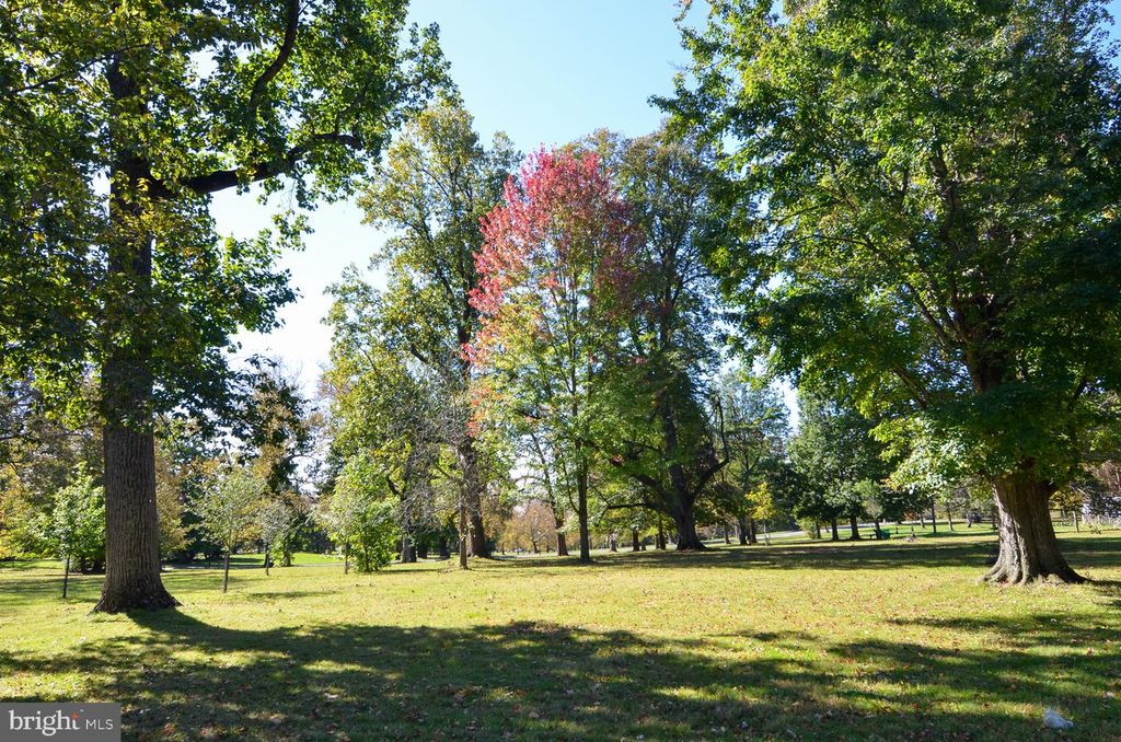 1206 STUYVESANT AVE, TRENTON, NJ 08618 — photo 4