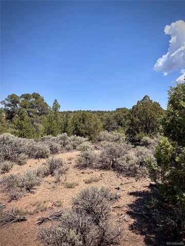 1134 Jorgulesco Road, Fort Garland, CO 81133