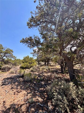1134 Jorgulesco Road, Fort Garland, CO 81133