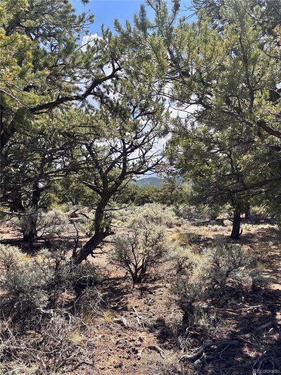 1134 Jorgulesco Road, Fort Garland, CO 81133