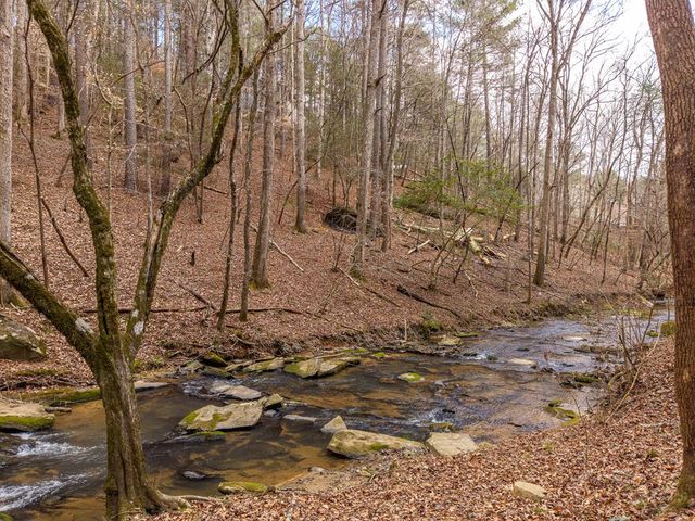 130 Clark Drive, Ellijay, GA 30540